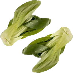 Pak Choi