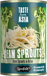 Bean Sprouts In Brine Böngroddar
