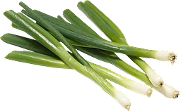 Salladslök