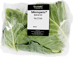 Spetskål mini 2-pack