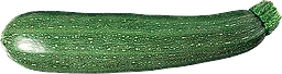 Zucchini Eko