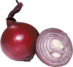 Rödlök Eko