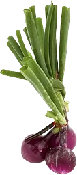 Lök Röd