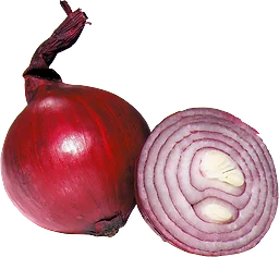Rödlök Knippe