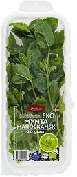 Mynta EKO Handelsträdgård