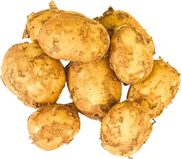 Färskpotatis Otvättad ca Klass 1