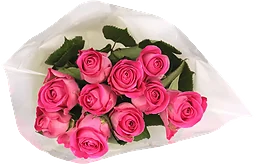 Rosor 10-p 40cm Fairtrade rosa