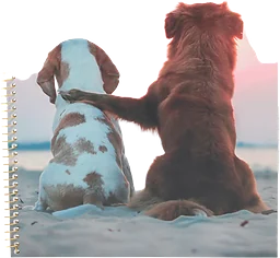 Spiralblock Pets