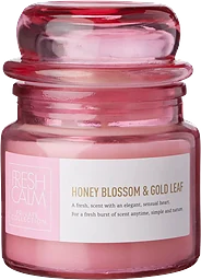 Doftljus Pop Rosa