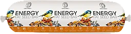 Talgfröbar Energy Vildfåglar