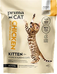 Chicken Kitten & Moms Active