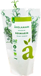 Rosmarin Kruka Eko