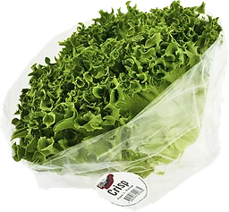 Krispsallat