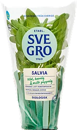 Salvia Eko Krav