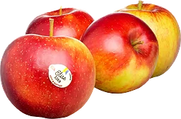 Äpple Elise 4-pack Klass 2