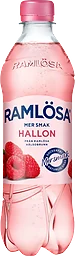 Kolsyrat Vatten Mer Smak Hallon