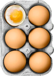 Ägg 6-pack
