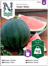 Melon Vatten Sugar Baby