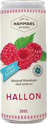 Läsk Hallon Utan Socker