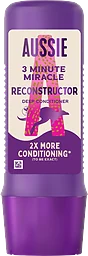 Reconstructor 3 Minute Miracle