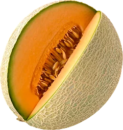 Cantaloupe ca Klass 1 ICA