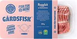 Ryggbit av clarias