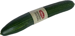 Crispgurka Handelsträdgård