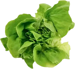 Huvudsallad