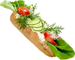 Skagen baguette