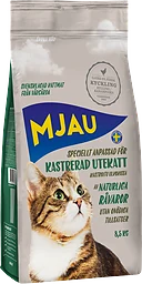 Utekatt Kastrerad Torrfoder