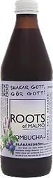 Blåbärsdröm Kombucha Eko