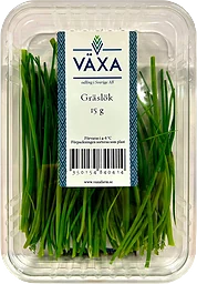 Gräslök