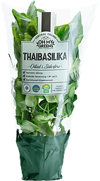 Thaibasilika