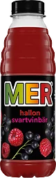 Hallon & Svartvinbär