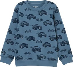 Svettiströja 86/92