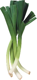 Purjolök Eko