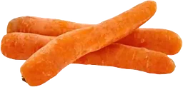 Morot