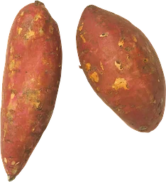 Sötpotatis