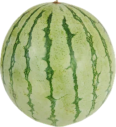 Vattenmelon