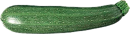 Zucchini Grön
