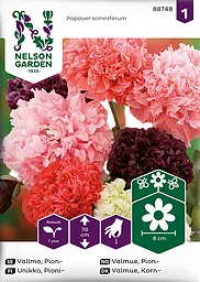 Vallmo Pion