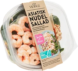 Asiatisk Nudel Sallad