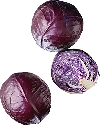 Rödkål Delad