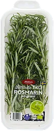 Rosmarin EKO 20g Handelsträdgård