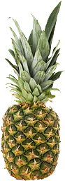 Ananas