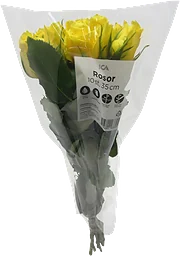 Rosor 10-p 35cm gula