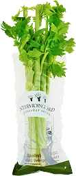 Bladselleri Klass 1