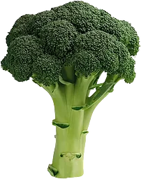 Broccoli