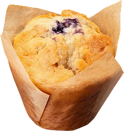 Blåbärsmuffins