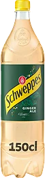 Läsk Mixers Ginger Ale